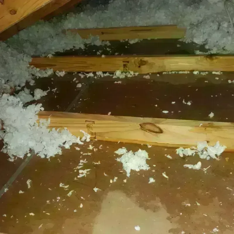 Attic Water Damage in Jobos, PR